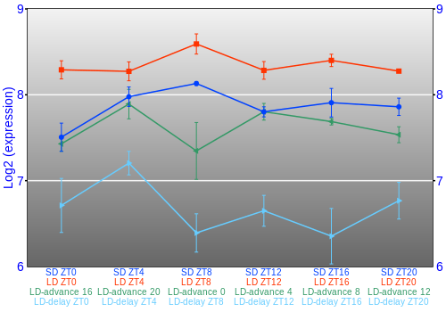 Expression graph