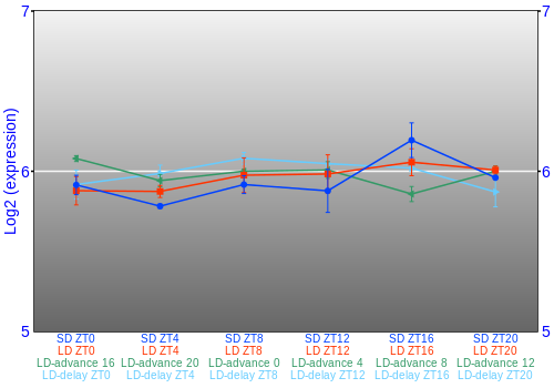 Expression graph