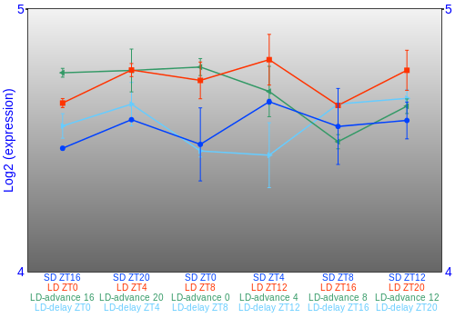 Expression graph