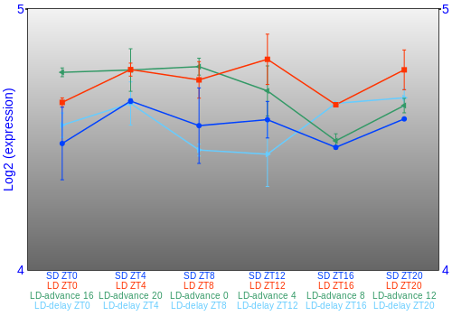 Expression graph