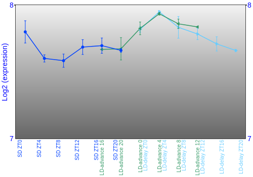 Expression graph