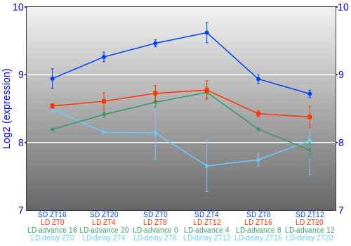 Expression graph