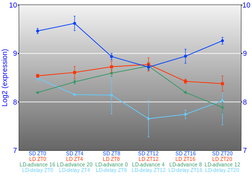 Expression graph