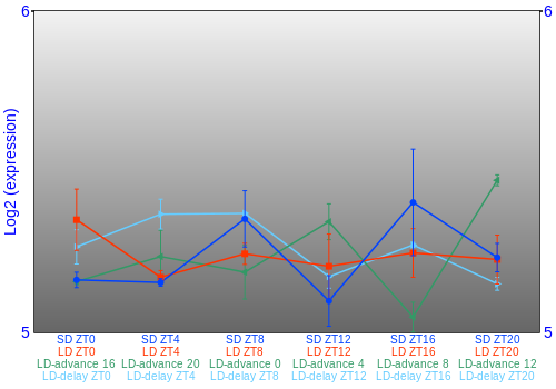 Expression graph