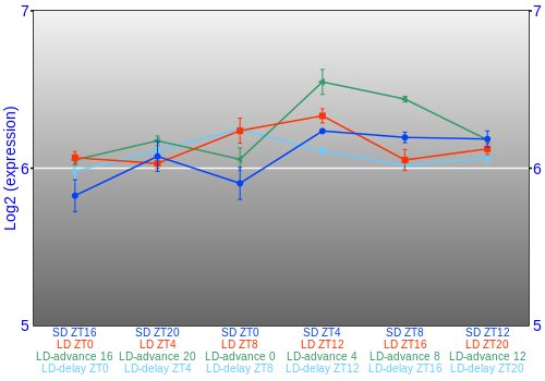 Expression graph