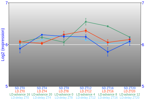 Expression graph