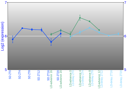 Expression graph