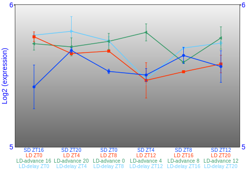 Expression graph