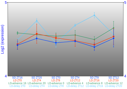 Expression graph