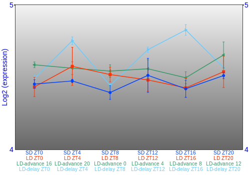 Expression graph