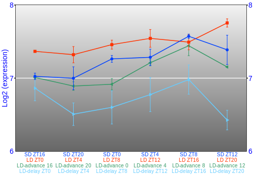 Expression graph