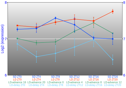 Expression graph