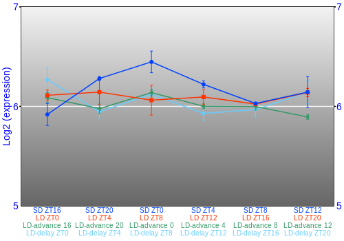Expression graph