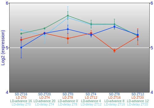 Expression graph