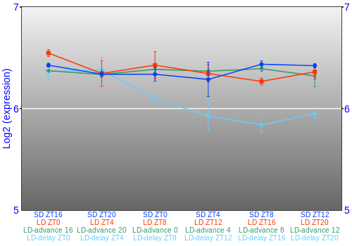 Expression graph