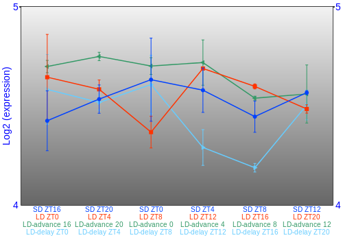 Expression graph