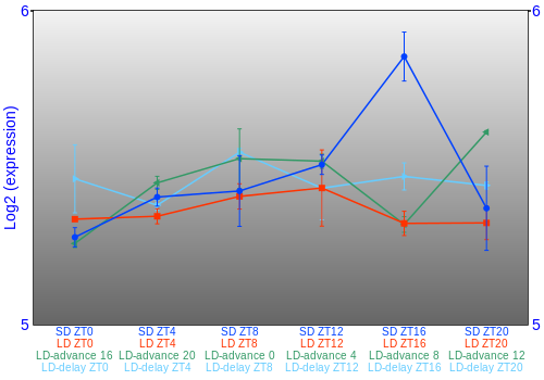 Expression graph