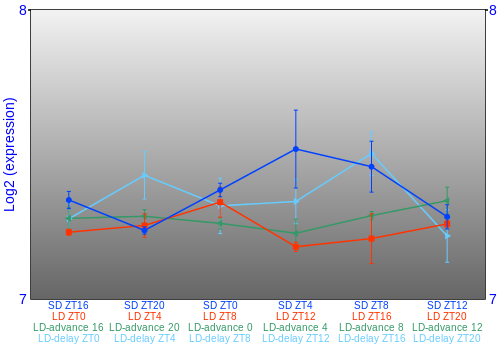 Expression graph
