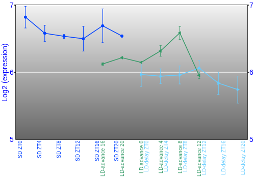 Expression graph