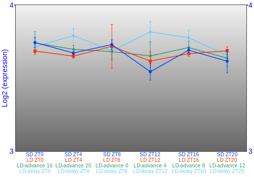Expression graph