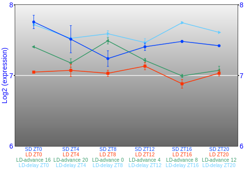 Expression graph