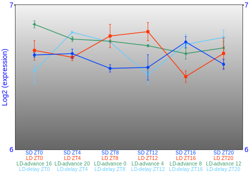 Expression graph