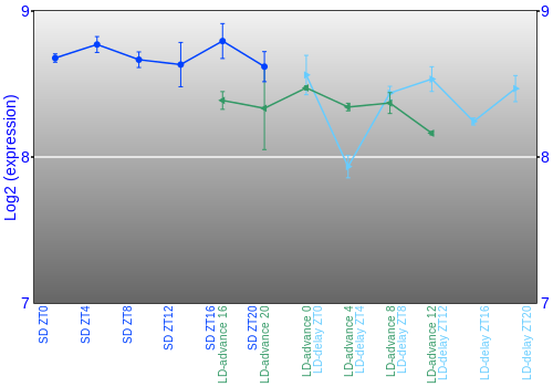 Expression graph
