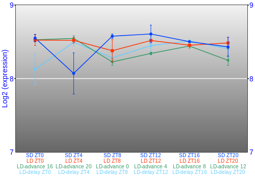 Expression graph