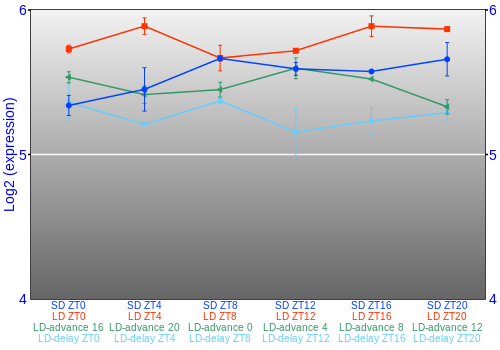 Expression graph