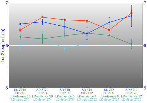 Expression graph