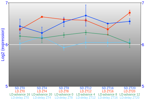 Expression graph