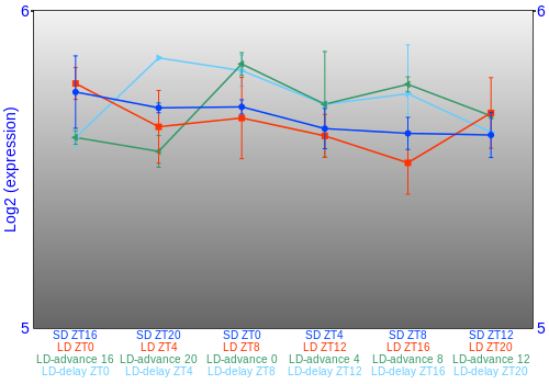 Expression graph