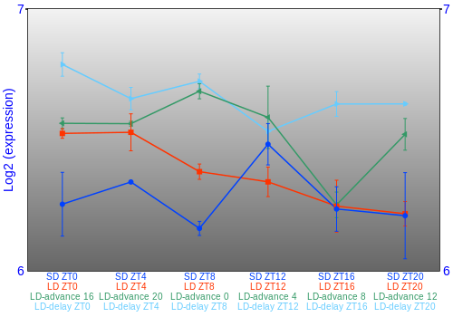 Expression graph