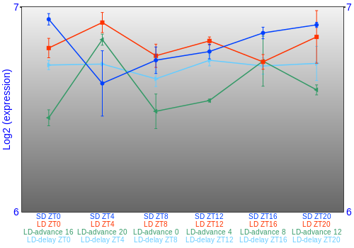 Expression graph