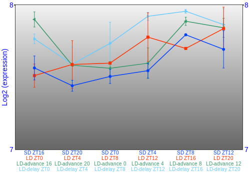 Expression graph