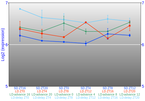Expression graph