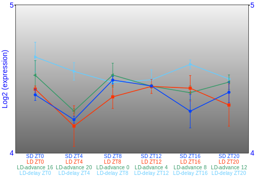 Expression graph