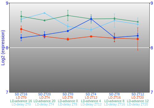 Expression graph