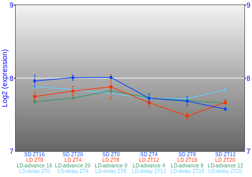 Expression graph