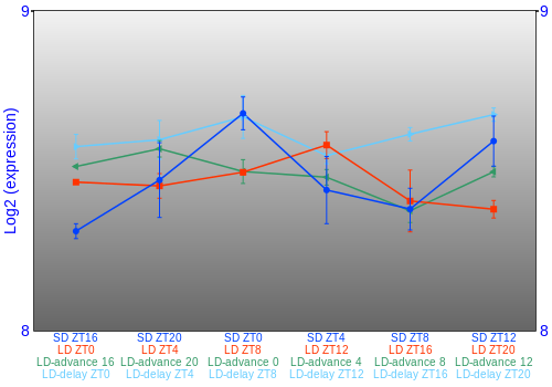 Expression graph