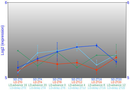 Expression graph