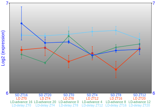 Expression graph