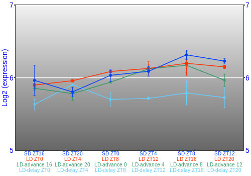 Expression graph