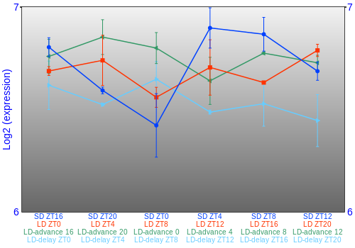 Expression graph