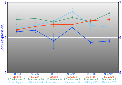 Expression graph