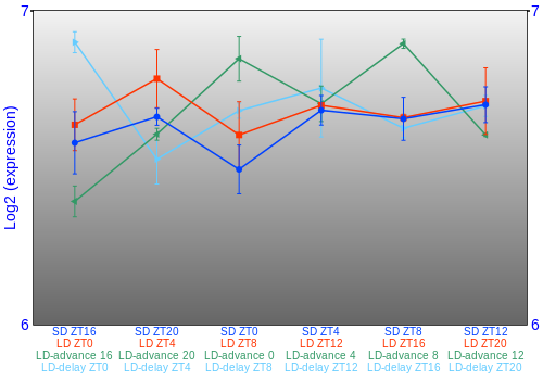 Expression graph