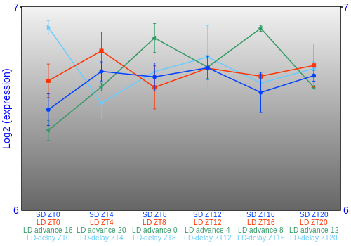 Expression graph