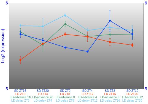 Expression graph
