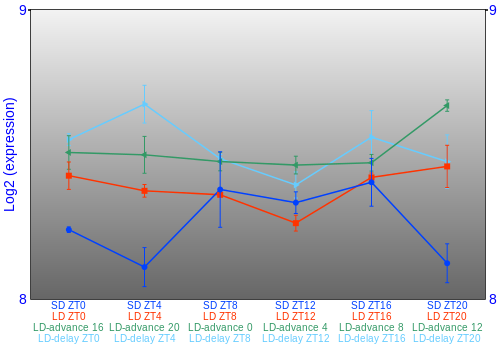 Expression graph