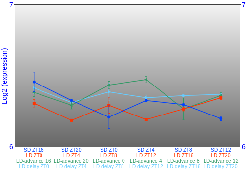 Expression graph